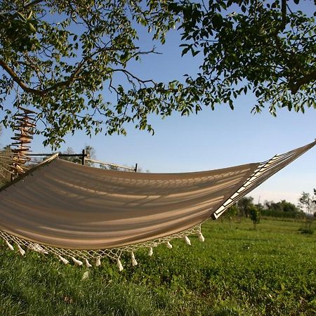 I Fichi Bianchi Bed & Breakfast Cutrofiano Bagian luar foto