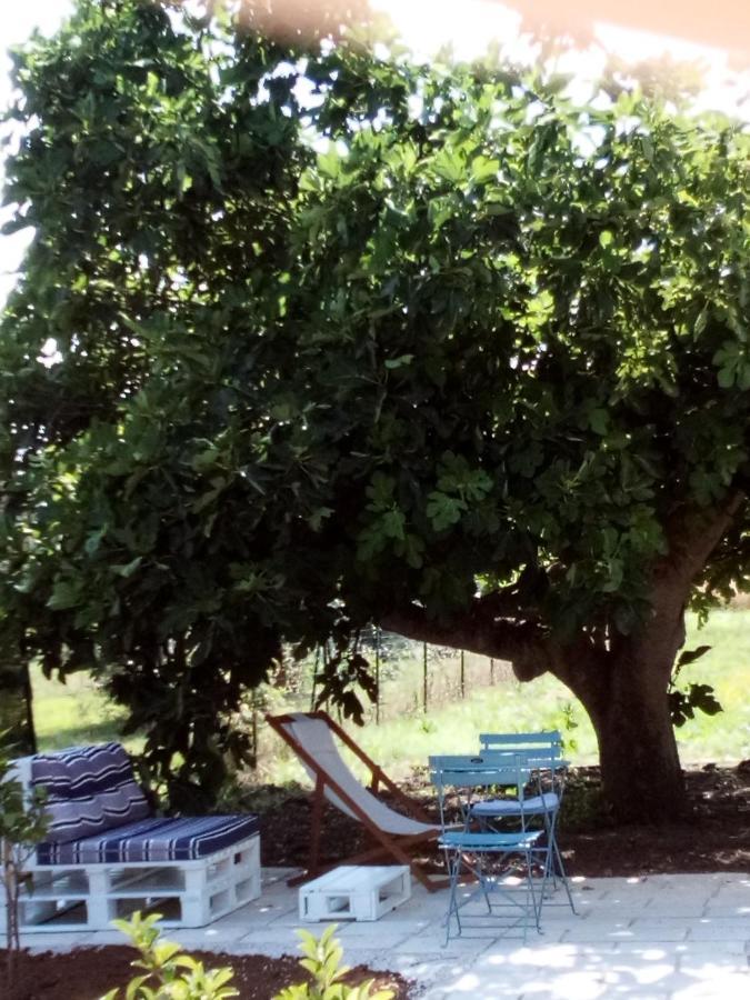 I Fichi Bianchi Bed & Breakfast Cutrofiano Bagian luar foto